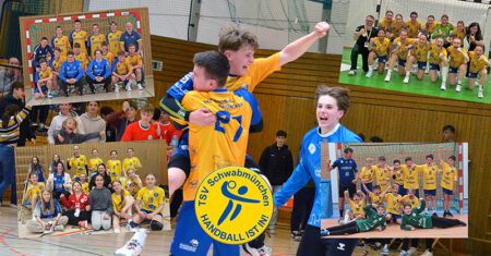 hp quali bilanz collage