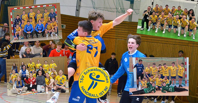 hp quali bilanz collage