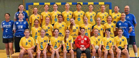 wd team beitragsbild